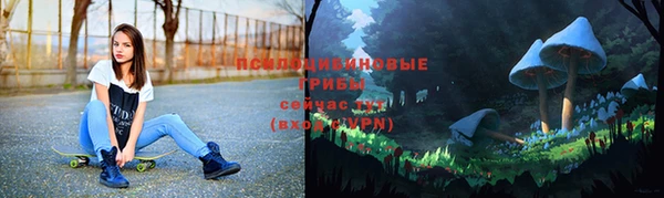герыч Алзамай