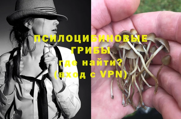 герыч Алзамай