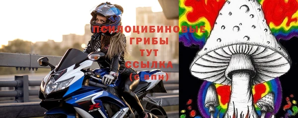 герыч Алзамай