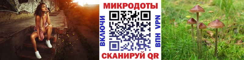 ОМГ ОМГ как зайти  Медынь  Галлюциногенные грибы Magic Shrooms 